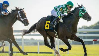 Franklin Stakes Predictions, Betting Odds, Picks