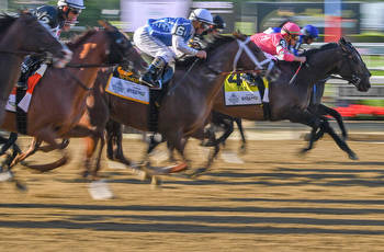 Free Belmont Stakes Picks, Predictions, and Trifecta Picks 2022