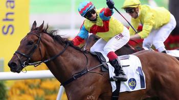 Free betting preview and tips for Hong Kong International Races at Sha Tin on Sunday