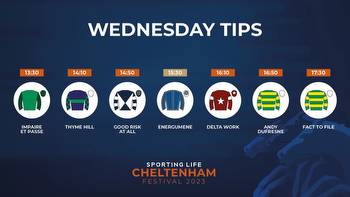 Free Cheltenham Festival tips: Best bets for Wednesday