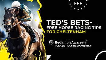 Free horse racing betting tips from Ed Quigley: Best picks for Cheltenham Friday