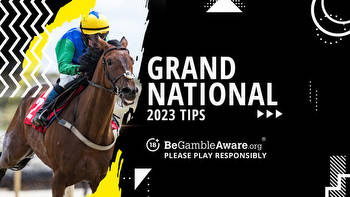 Free Horse Racing Tips for the Grand National