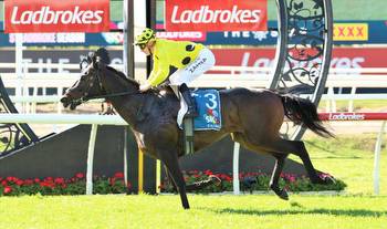 Freedmans not Without options for import