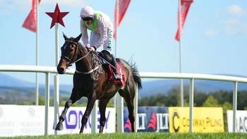French Champion Hurdle preview: Bien for Benie
