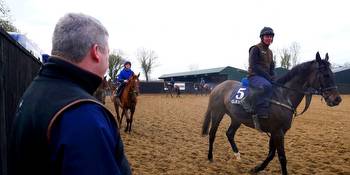 ‘Fresh and well’ Conflated poised to make his mark in Gold Cup geegeez.co.uk