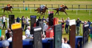 Friday racing tips: Newsboy's selections for fixtures including Goodwood and Haydock