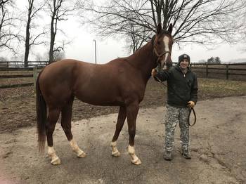 From Iowa to the Breeders’ Cup: Tyler’s Tribe