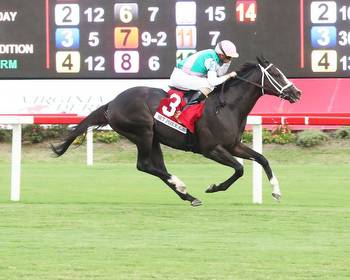 "Full circle" on Arlington Million day at Colonial Downs * The Racing Biz