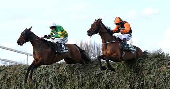 Full list of Grand National runners and riders 2023 pinstickers' guide