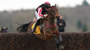 Funambule Sivola targets Champion Chase after defending Game Spirit crown at Newbury