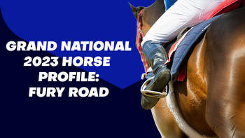 Fury Road Grand National Odds & Betting Profile