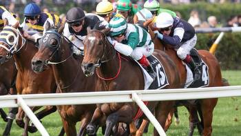 Future History wins Bart Cummings to qualify for Melbourne Cup