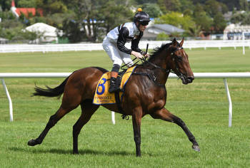 G1 placegetter heads early odds in the Tulloch Stakes