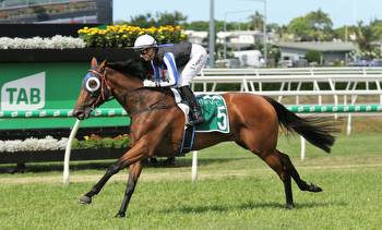 G1 winning mare sold to Japan