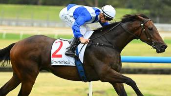 Gai Waterhouse: Alligator Blood can win Doncaster Mile with big weight