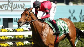 Gai Waterhouse: Just Fine could be the next Fiorente