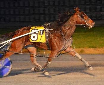 Gaitway Gal looks to carry on unlikely legacy