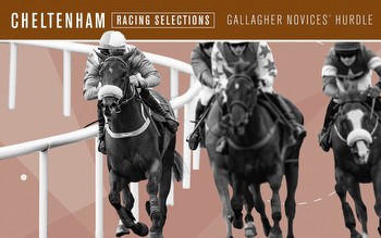 Gallagher Novices’ Hurdle tips: 1.45 Cheltenham win and each-way picks