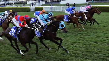 Gallop to decide next Group 1 assignment