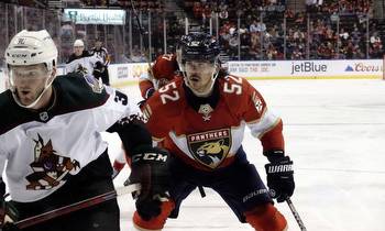 GameDay 26: Lines, betting odds for Panthers at Coyotes