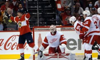 GameDay No. 27: Lines, Betting Odds for Red Wings at Panthers