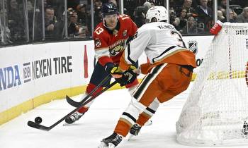 GameDay No. 60: Lines, Betting Odds for Ducks at Panthers