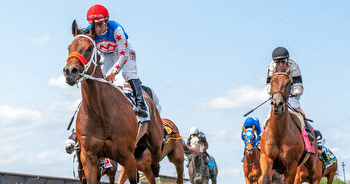 Garrity's Saturday Preakness Undercard Picks: The Gallorette, Dinner Party, Skipat, Maryland Sprint, more