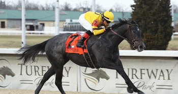Garrity's Saturday Stakes pick the Fair Grounds, Turfway Park: Jeff Ruby, New Orleans Classic, Louisiana Derby