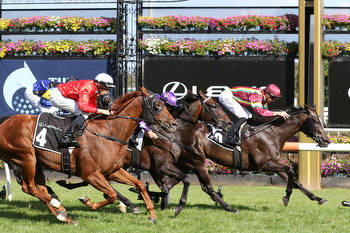 Gentleman Roy chasing maiden G1 in Toorak Handicap