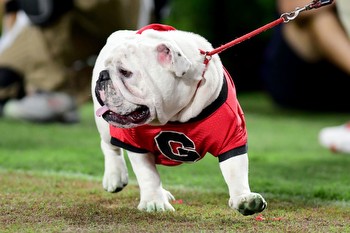 Georgia Football: Week 6 predictions and best bets