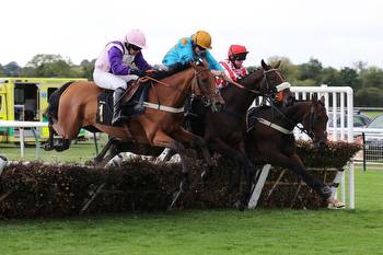 Geronimo lands Colliers Reduce Business Rates Novices' Limited Handicap Chase (Class 3) at Warwick Racecourse