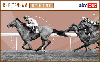 Get a huge 40/1 on Constitution Hill at the Cheltenham Festival