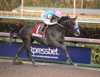 Get to Know the Pegasus World Cup Early Favorite: National Treasure