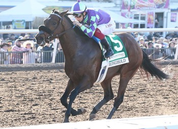 Ghostzapper's Stronghold Invades Sunland Derby And Takes Home 20 Derby Points