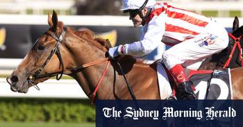 Giga Kick looks to All Aged test after encouraging TJ Smith run