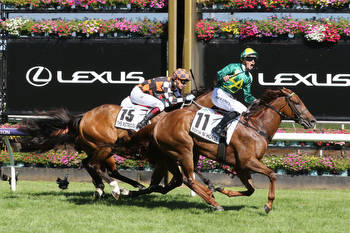 Gilgai Stakes tipped to be a wide open sprint field