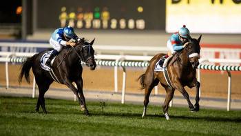 Global stars are aligned to light up 25th Dubai World Cup night