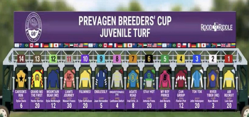 God's Tipster Breeders' Cup Juvenile Turf Pick: Race 9, day's final Grade 1, a horse he's liked from debut