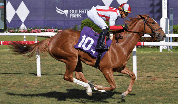 God's Tipster's Easter Sunday Gulfstream Park Pick: One turf maiden sprinter in 5th race tickles his fancy