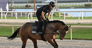 God's Tipster's Pegasus Day Gulfstream Park Picks: 6 races from Florida, a Derby Prep stakes from Oaklawn Park