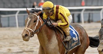 God's Tipster's Saturday Aqueduct and Tampa Bay Downs Picks: 7 races including Triple Crown prep stakes
