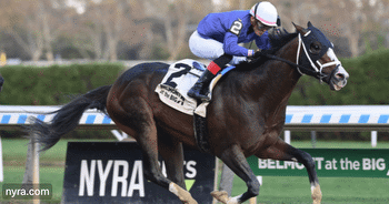 God's Tipster's Saturday Aqueduct Graded Stakes Picks: The Demoiselle, Go For Wand, Remsen, and Cigar Mile