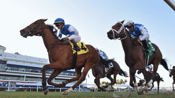 God's Tipster's Saturday Gulfstream Park and Oaklawn Picks: 9 races with the Florida Derby, Arkansas Derby