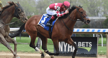 God's Tipster's Sunday Belmont at Aqueduct Pick: Race 8 is the Carle Place for 3yos; we're looking at class