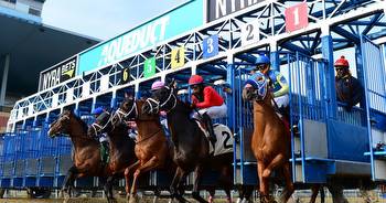 God's Tipster's Sunday Belmont at Aqueduct Pick: The 3rd is turf mile for filly maidens with one off the bench