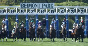 God's Tipster's Sunday Belmont Pick: In the 8th, a turf route for maidens, Libretto has winning story