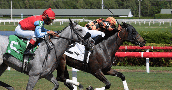God's Tipster's Sunday Gulfstream Park Pick: The 8th features 3yo filly turf maidens and live gray longshot
