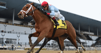 God's Tipster's Thursday Aqueduct Pick: In 8th, New York-bred maiden claimers race a mile