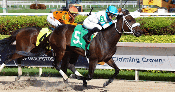 God's Tipster's Thursday Gulfstream Park Pick: The 8th is route for 3yos a notch below Derby trail