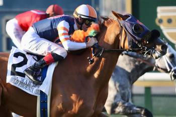 Gold Phoenix, Hong Kong Harry, Slow Down Andy prevail on Del Mar turf
